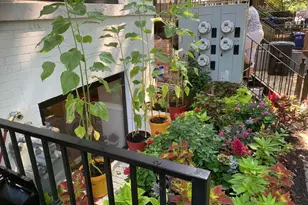 1717 Euclid St NW, Washington, DC 20009 - Photo 22
