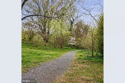 3517 Rodman Street NW, Washington, DC 20008 - Photo 84