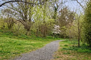 3517 Rodman St NW, Washington, DC 20008 - Photo 84