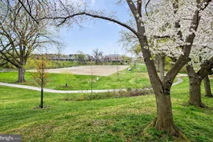 3517 Rodman St NW, Washington, DC 20008 - Photo 82