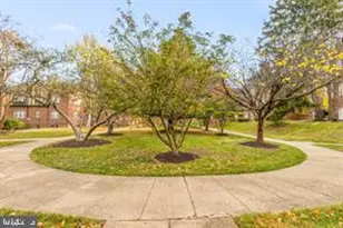 208 Farragut St NW, Washington, DC 20011 - Photo 6