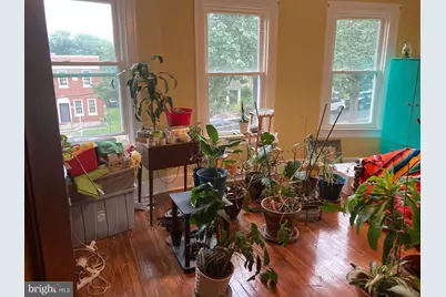 431 Rittenhouse Street NW, Washington, DC 20011 - Photo 12