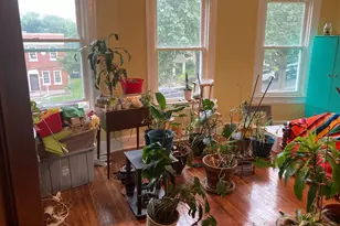 431 Rittenhouse St NW, Washington, DC 20011 - Photo 12