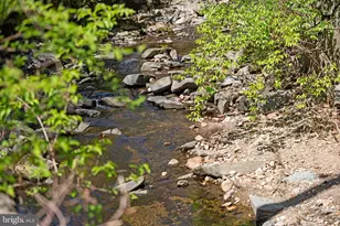 4656 Broad Branch Rd NW, Washington, DC 20008 - Photo 28