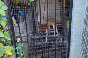 1116 Allison St NW, Washington, DC 20011 - Photo 6