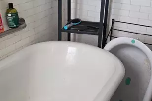 1116 Allison St NW, Washington, DC 20011 - Photo 12