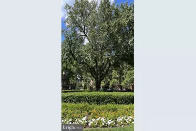 3401 38th Street NW #0B-615-408, Washington, DC 20016 - Photo 16