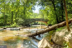 5828 Colorado Ave NW, Washington, DC 20011 - Photo 28