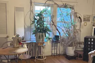 5828 Colorado Ave NW, Washington, DC 20011 - Photo 10