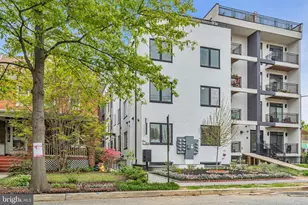 1103 Fern St NW, Washington, DC 20012 - Photo 50