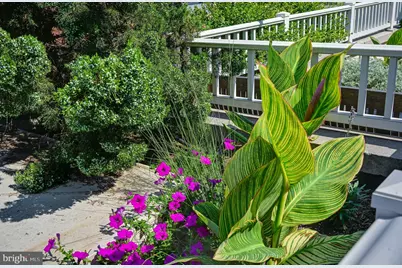 1111 11th Street NW #304, Washington, DC 20001 - Photo 22