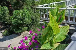 1111 11th St NW, Washington, DC 20001 - Photo 18