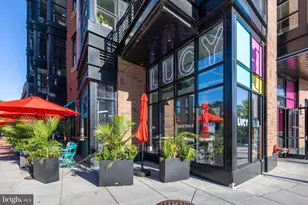 1444 Belmont St NW, Washington, DC 20009 - Photo 22