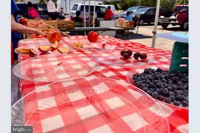 1340 4th Street SW #T-1340, Washington, DC 20024 - Photo 28