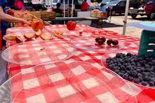 1340 4th St SW, Washington, DC 20024 - Photo 28