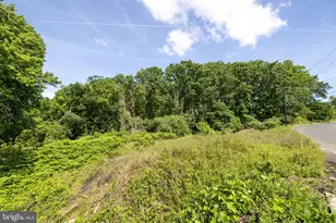 2921 Langston Pl SE, Washington, DC 20020 - Photo 8