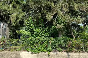 318 57th St NE, Washington, DC 20019 - Photo 6