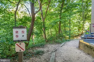 3701 Connecticut Ave NW, Washington, DC 20008 - Photo 24