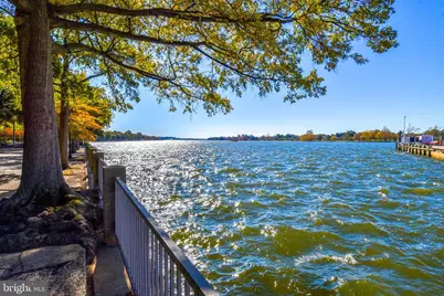 354 N Street SW #354, Washington, DC 20024 - Photo 38