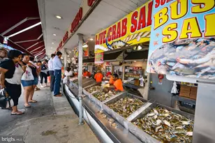 45 Sutton Square SW, Washington, DC 20024 - Photo 54