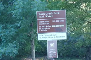 509 Peabody St NW, Washington, DC 20011 - Photo 14