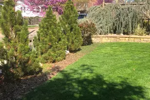 4114 Emery Pl NW, Washington, DC 20016 - Photo 66