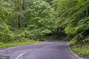 5702 16th St NW, Washington, DC 20011 - Photo 40