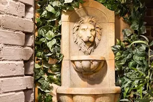 2131 S St NW, Washington, DC 20008 - Photo 30