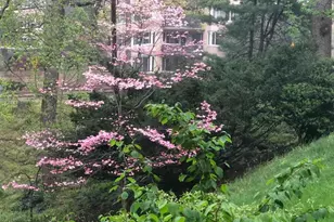 4100 Cathedral Ave NW, Washington, DC 20016 - Photo 26