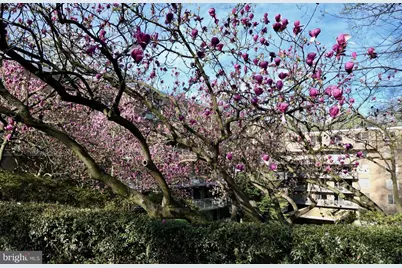 4100 Cathedral Avenue NW #615, Washington, DC 20016 - Photo 28