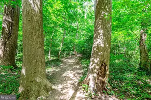 4101 Cathedral Ave NW, Washington, DC 20016 - Photo 54