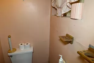 3229 12th Pl SE, Washington, DC 20032 - Photo 20