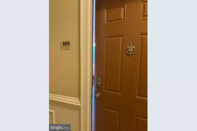 315 Evarts Street NE #109, Washington, DC 20002 - Photo 34