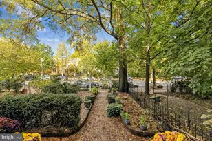 811 Massachusetts Ave NE, Washington, DC 20002 - Photo 2