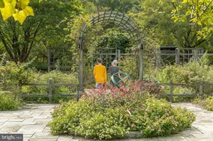 3637 Jamison St NE, Washington, DC 20018 - Photo 44