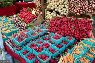 1450 Church Street NW #203, Washington, DC 20005 - Photo 34