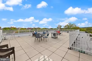 2456 20th St NW, Washington, DC 20009 - Photo 38