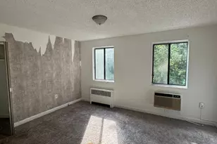 4725 1st St SW, Washington, DC 20032 - Photo 8