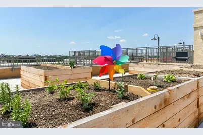 901 H Street NE #FLAT D, Washington, DC 20002 - Photo 62