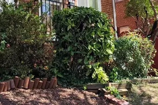 744 Hilltop Terrace SE, Washington, DC 20019 - Photo 1