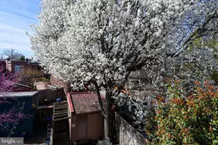 1323 Massachusetts Ave SE, Washington, DC 20003 - Photo 42