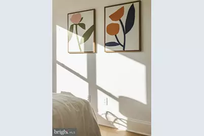 2460 Ontario Road NW, Washington, DC 20009 - Photo 52