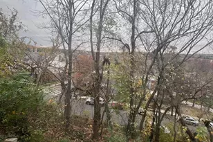 157 Wilmington Pl SE, Washington, DC 20032 - Photo 8