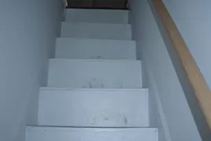 1004 Shepherd St NE, Washington, DC 20017 - Photo 16