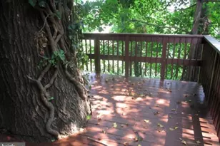 2926 M St SE, Washington, DC 20019 - Photo 8