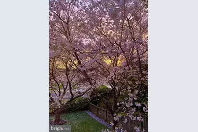 4452 Q Street NW, Washington, DC 20007 - Photo 20