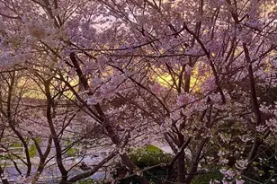 4452 Q St NW, Washington, DC 20007 - Photo 20