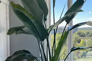 2600 Pennsylvania Ave NW, Washington, DC 20037 - Photo 20