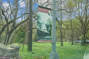 2907 Newark St NW, Washington, DC 20008 - Photo 40