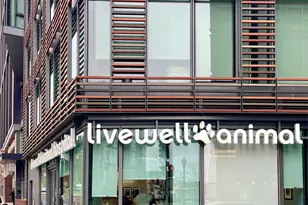 309 Elm St NW, Washington, DC 20001 - Photo 102